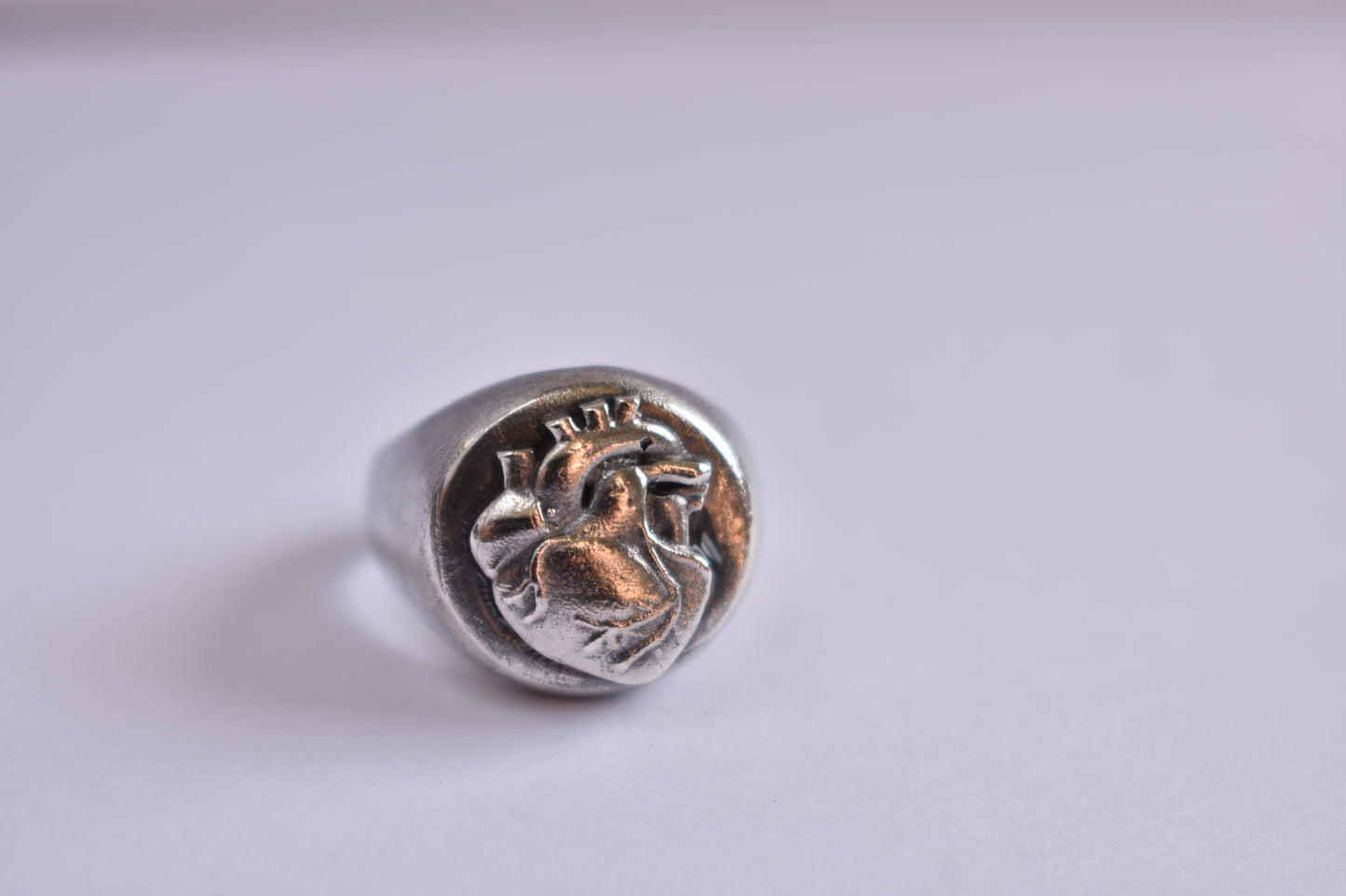 Sterling Silver and Anatomical Heart Signet Round Ring