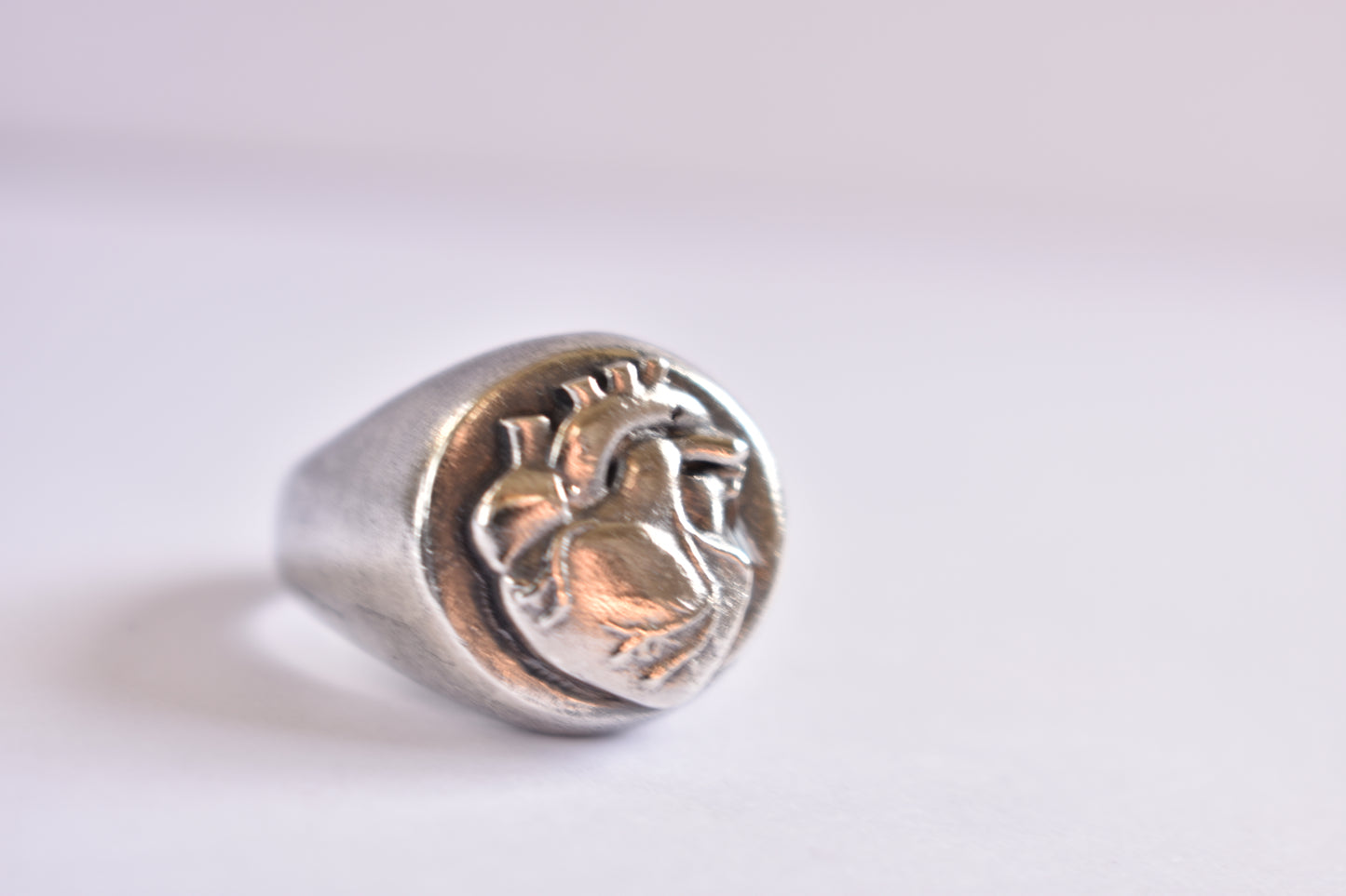 Sterling Silver and Anatomical Heart Signet Round Ring